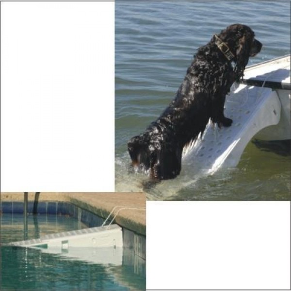 Comprar Rampa Salvavidas piscinas Desplegable para perros al mejor