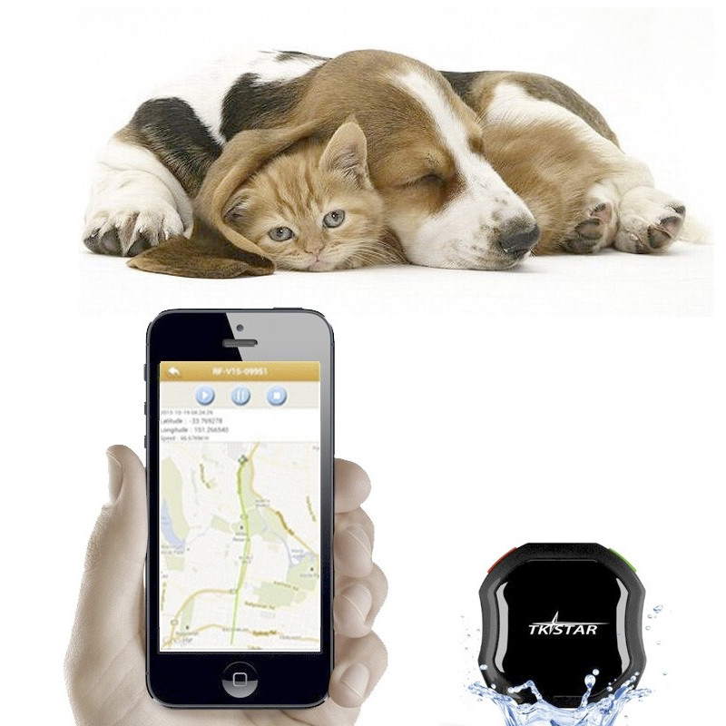 comprar Collar GPS mascotas localizador perros gatos desde móvil precio