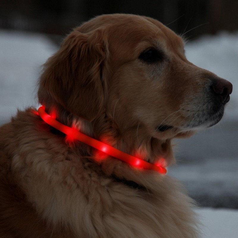 Collar LED para perro, collares ajustables con luz que brillan en la  oscuridad, collar de seguridad recargable por USB, luz para tus perros  caminando