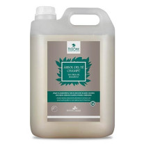 Champú Árbol del Té Ibáñez 5 L – Piel Sensible Calmante