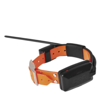 DogTrace Collar Adicional X30-TB SHORT GPS con Adiestramiento y Beeper 300 m