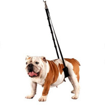 Lazo de horca acolchado para vientre para peluquería canina profesional