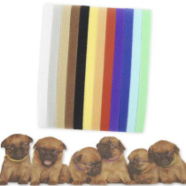 12 Collares para identificar cachorros y camadas 