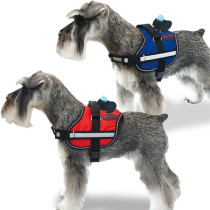 arnes-active-perro-mediano-grande