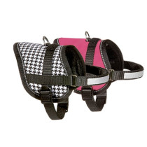 arnes-teeny-weeny-perro-pequeno
