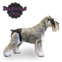 Braguita para perras en celo elastica ajustable