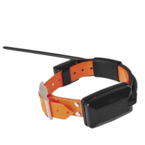 collar-adicional-dogtrace-x30-normal-dg751x30