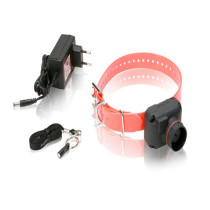 Collar de becada dogtra stb para perros
