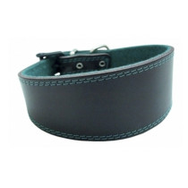 Collar economico de cuero para Galgos y perros de cuello fino