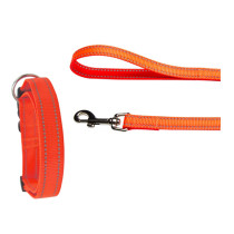 Collar y correa nylon reflectante para la noche