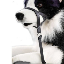 Guiador controlador adiestramiento para perros que tiran D&D