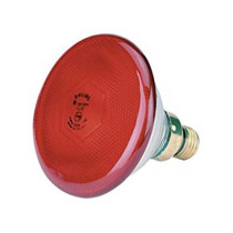 lampara-infrarrojos-philips-175w-bajo-consumo-perros