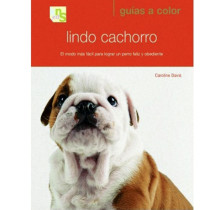 Libro Lindo Cachorro adiestramiento cachorros