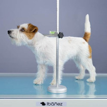 medidor-altura-perros-exposiciones