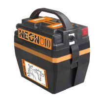 pastor-electrico-neon-10-recargable-12v-02j