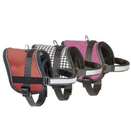 Arnés Teeny-Weeny moderno para perros pequeños