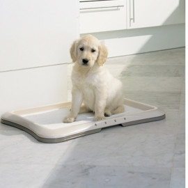 Bandeja Educador higienico para cachorros pipi y caca