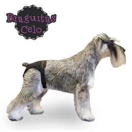Braguita para perras en celo elastica ajustable