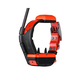 collar-gps-dogtrace-x40t-adiestramiento-perros-caza-20km.jpg