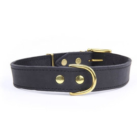 Collar piel Gold Brass para perros piel natural a mano | collares para perros piel natural 