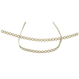 Goma de ortodoncia para perros 