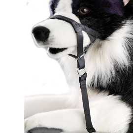 Guiador controlador adiestramiento para perros que tiran D&D