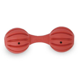 Juguete recompensa Busy Buddy Pesas comida dentro para perros 