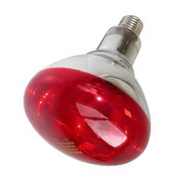 lampara-infrarrojos-250w-perros-camadas