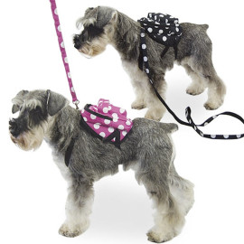 Mochila Arnés para perros pequeños | Mochila pequeña para perros al mejor precio