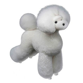 pelo-asian-style-maniqui-peluqueria-canina BLANCO