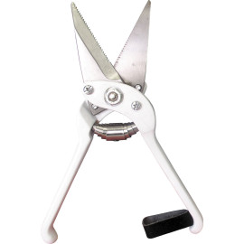 tijera-dentada-pezunas-ovino