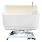 Bañera eléctrica Glenbath con extensión blanca para peluquería canina