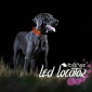 Collar para perro nylon Led Locator para la noche