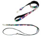 Correa nylon Mosaico para galgos simple fino