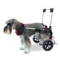Silla de Ruedas para perros Canis Mobile
