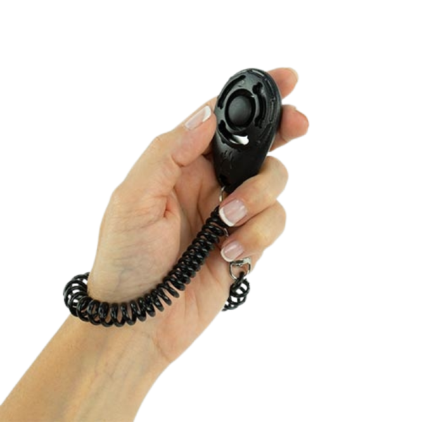 clicker-con-elastico-ibanez-ap0000