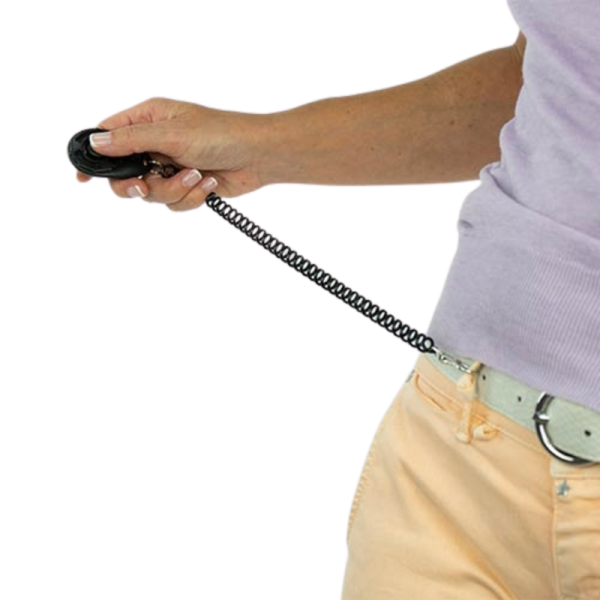 clicker-adiestramiento-positivo-perro