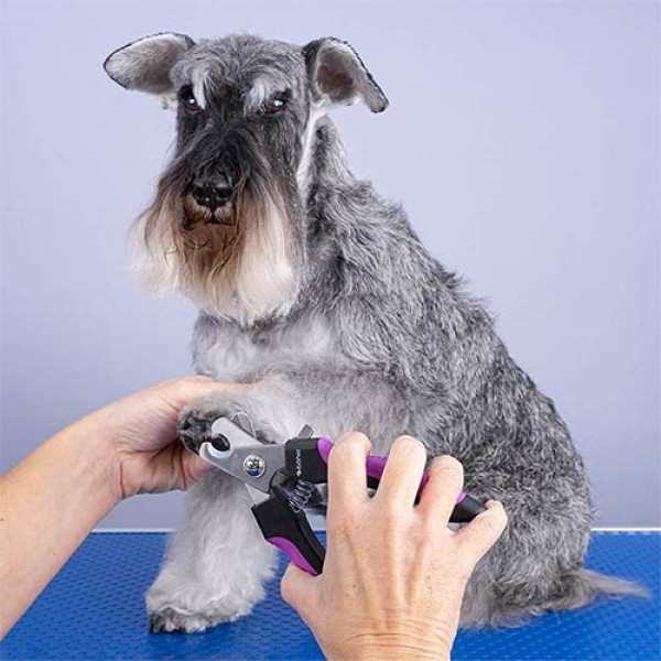 cortaunas-perros-gatos-profesional