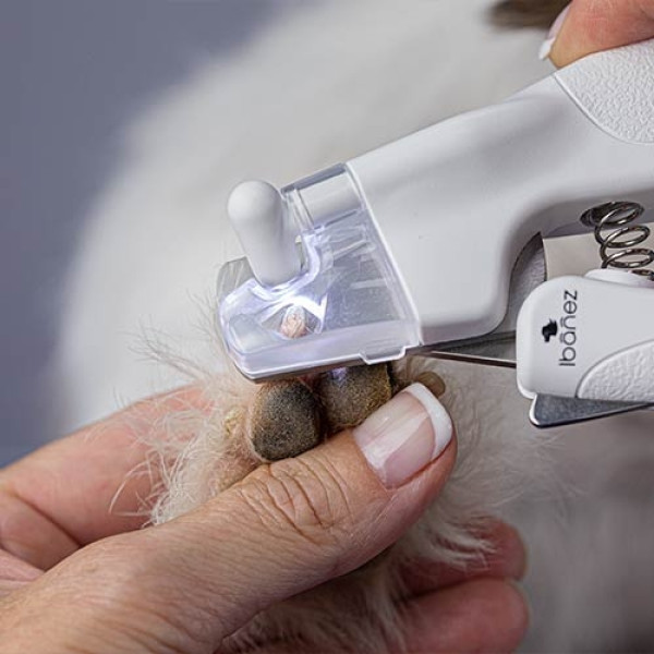 cortaunas-led-perros-gatos-profesional