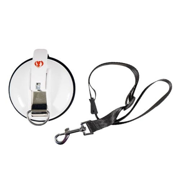 disco-ventosa-lazo-banera-perros