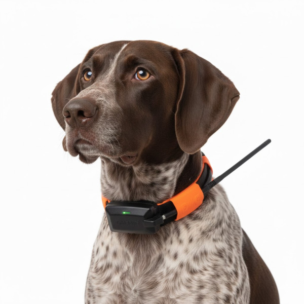 dogtrace-x25-t-collar-normal-profesional