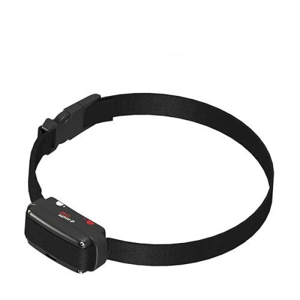Antiladridos Dogtrace D-MUTE ONE para perros muy pequeños
