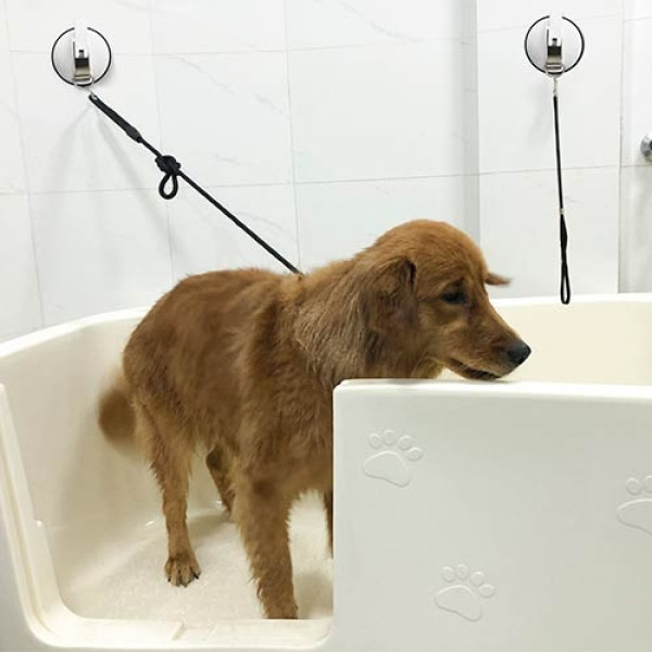 disco-ventosa-lazo-banera-perros