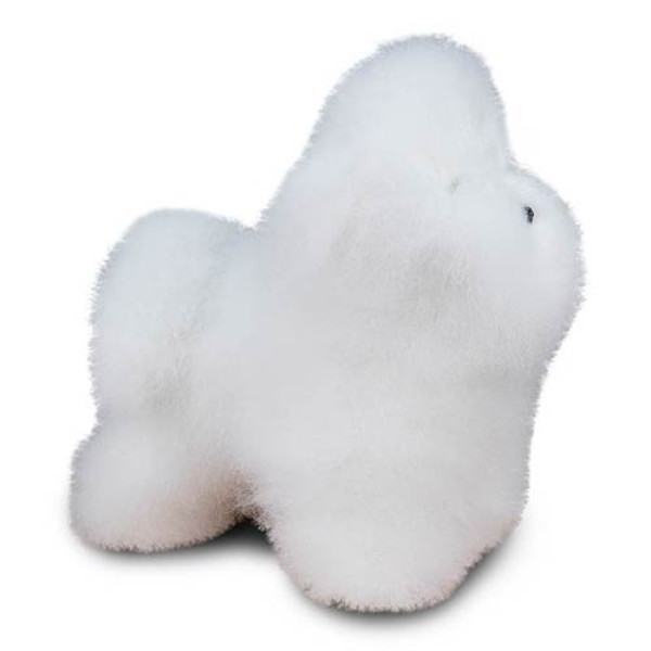 maniqui-bichon-frise-peluqueria-canina