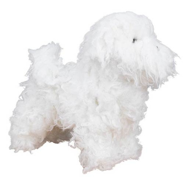 maniqui-bichon-frise-peluqueria-canina