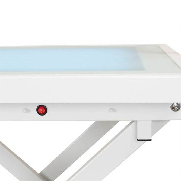 mesa-electrica-led-star-peluqueria-canina