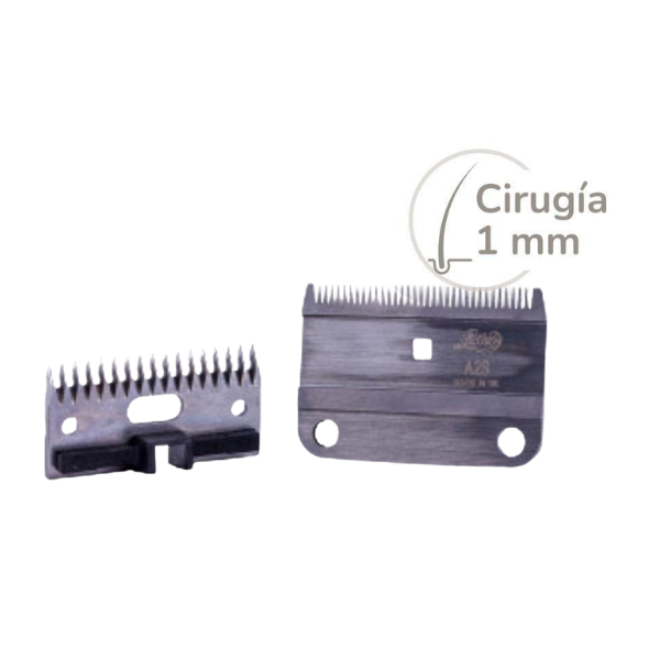 peine-cuchilla-lister-cirugia