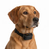dogtrace-dcontrol-edge-250-collar-profesional
