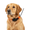 dogtrace-gps-x25-equipo-localizador