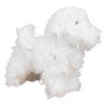 maniqui-bichon-frise-peluqueria-canina